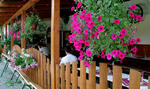 Záhorovice, Green Pub, výlet Bojkovice-Nezdenice